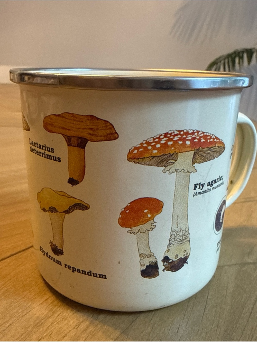 Gift Republic Mushroom Fungi Coffee Enamel Coffee Mug 16oz  Multicolor